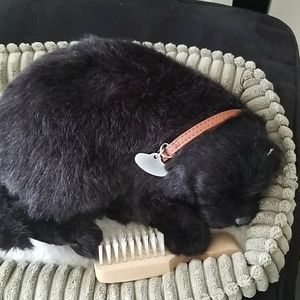 Stuffed little puppy with brush